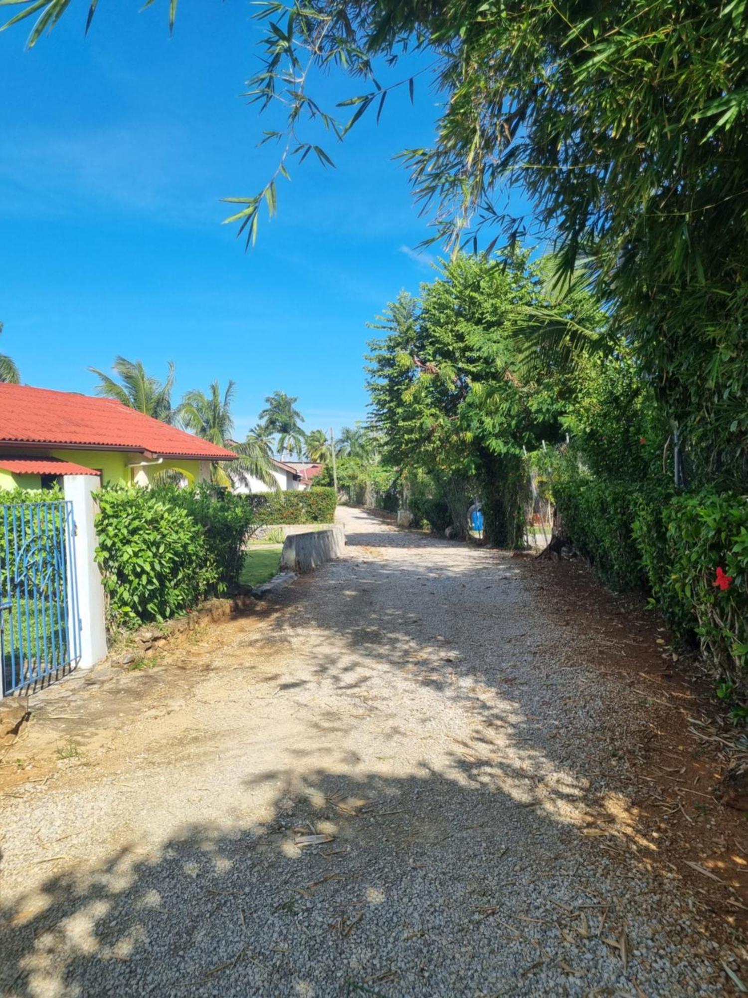 Il Triangolo Hostel Las Galeras Eksteriør bilde