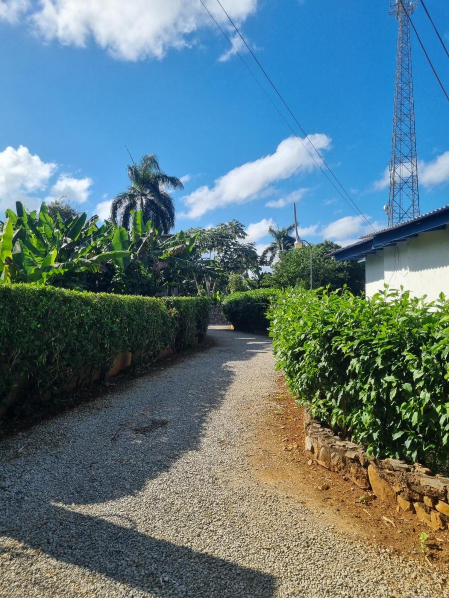 Il Triangolo Hostel Las Galeras Eksteriør bilde